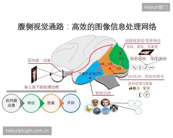 最新的实时归因模型，其图像识别引擎能以每秒300个特征点的速度抓取并分析赛场上的所有品牌Logo